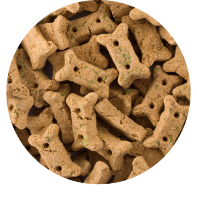 Koekjes & Beloning