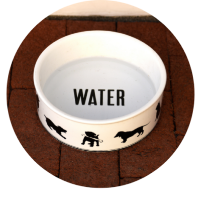 Voer & Waterbakken