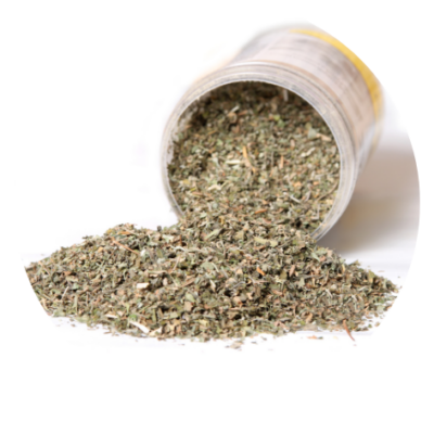 Catnip