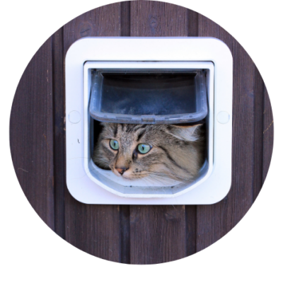 Kattenluiken