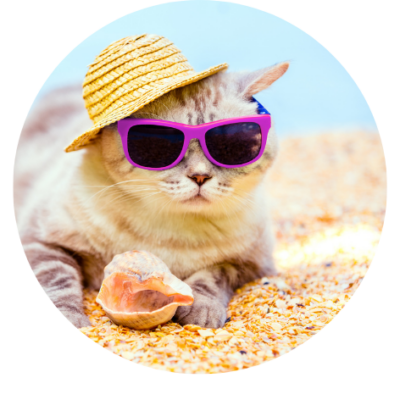 Zomer kat